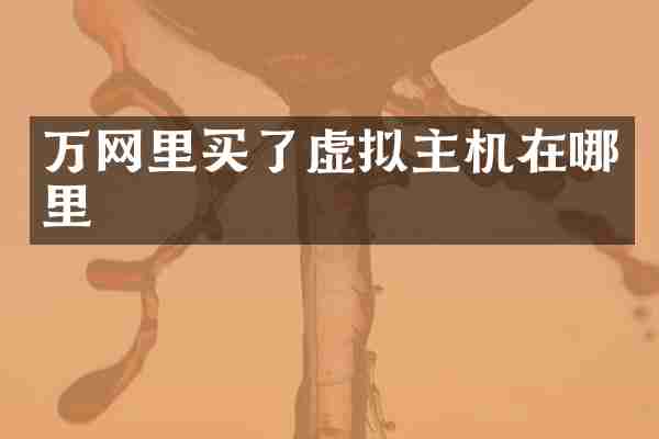 万网里买了虚拟主机在哪里