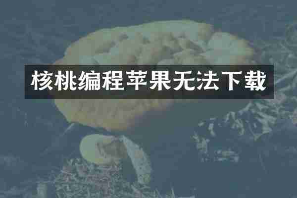 核桃编程苹果无法下载