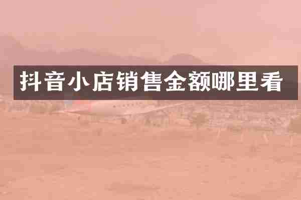 抖音小店销售金额哪里看