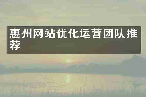惠州网站优化运营团队推荐