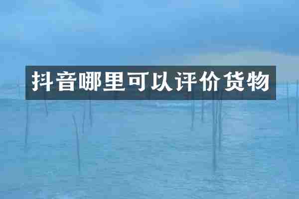 抖音哪里可以评价货物
