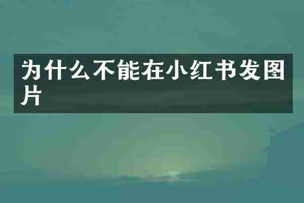为什么不能在小红书发图片