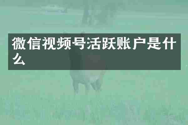 微信视频号活跃账户是什么