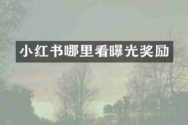 小红书哪里看曝光奖励