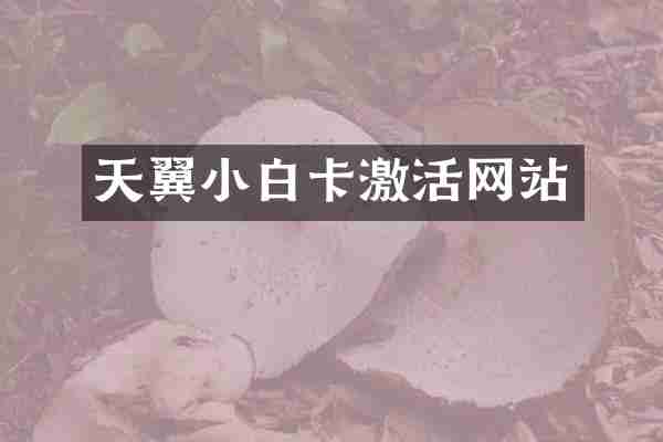 天翼小白卡激活网站