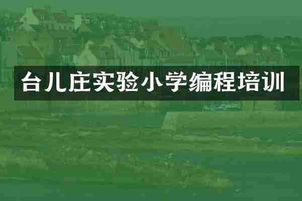 台儿庄实验小学编程培训