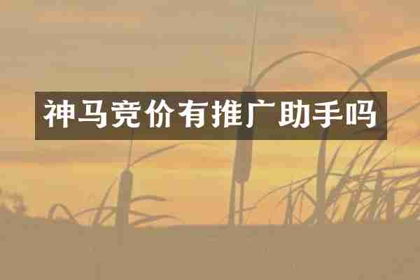 神马竞价有推广助手吗