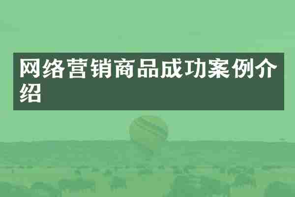 网络营销商品成功案例介绍
