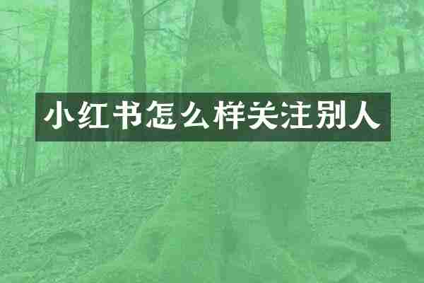 小红书怎么样关注别人