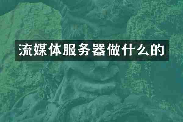 流媒体服务器做什么的