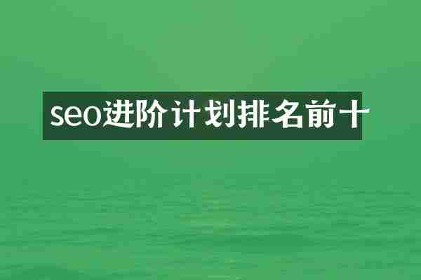seo进阶计划排名前十