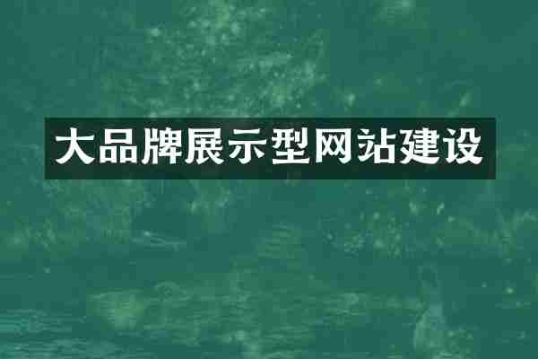 大品牌展示型网站建设