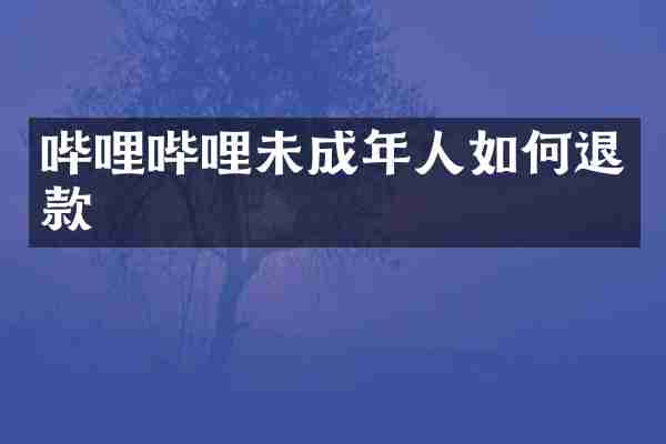 哔哩哔哩未成年人如何退款