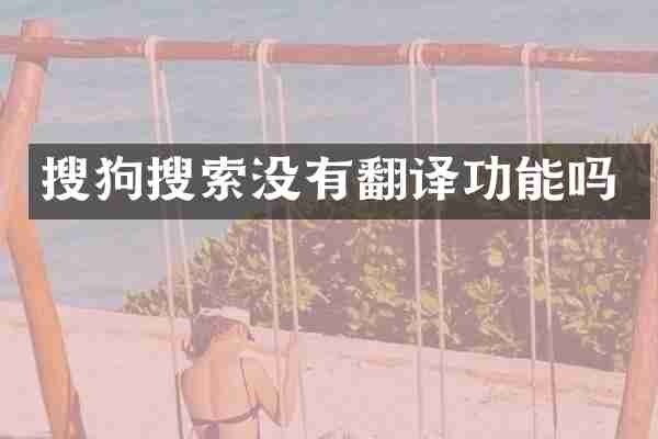 搜狗搜索没有翻译功能吗