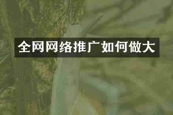 全网网络推广如何做大