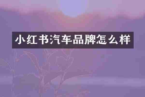 小红书汽车品牌怎么样