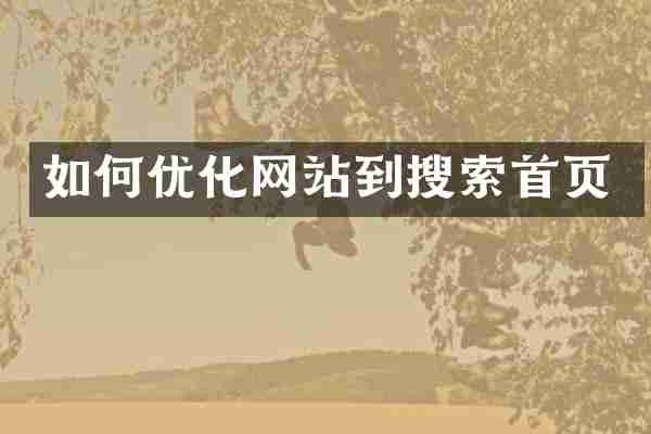 如何优化网站到搜索首页