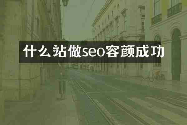 什么站做seo容颜成功