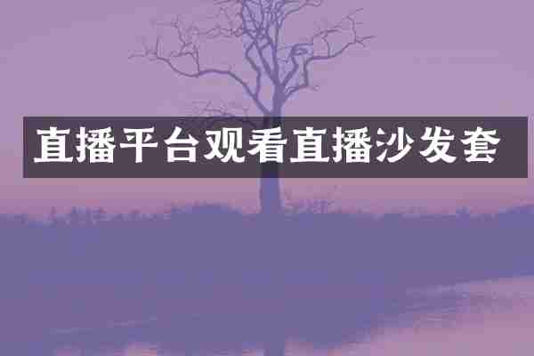 直播平台观看直播沙发套