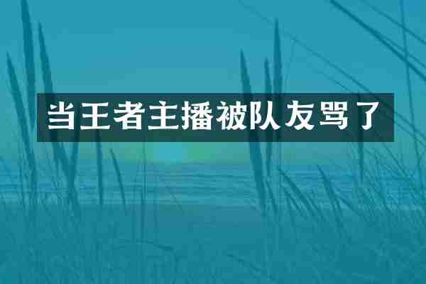 当王者主播被队友骂了