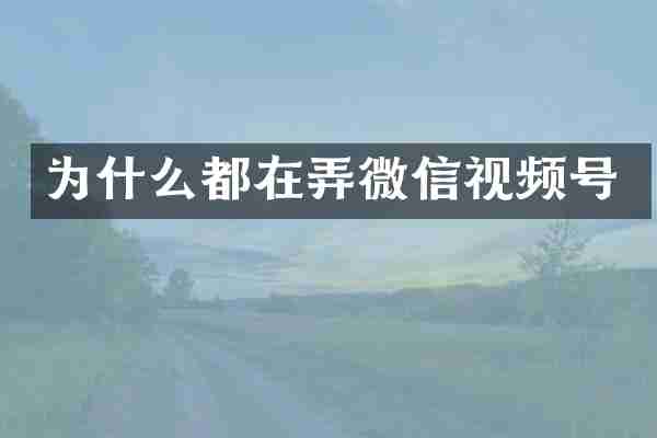 为什么都在弄微信视频号
