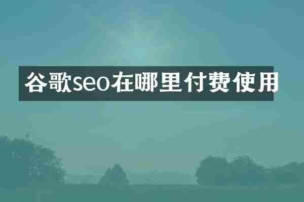 谷歌seo在哪里付费使用