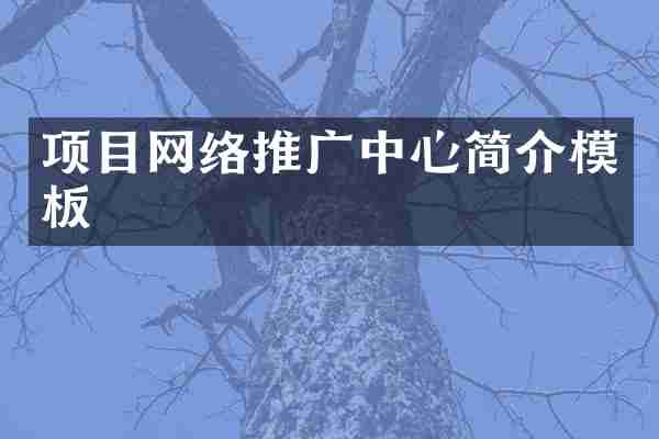 项目网络推广中心简介模板