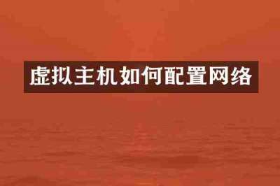 虚拟主机如何配置网络