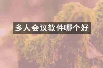 多人会议软件哪个好