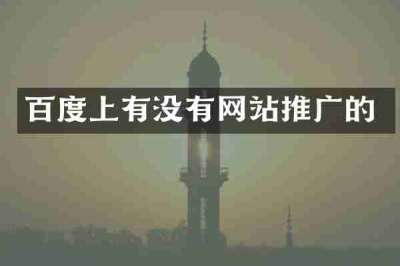 百度上有没有网站推广的