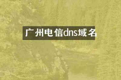 广州电信dns域名