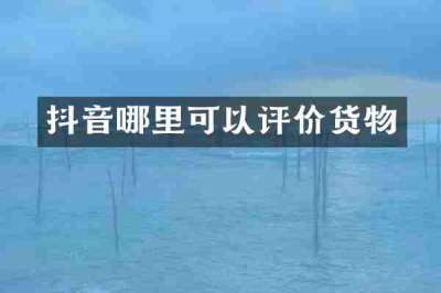 抖音哪里可以评价货物