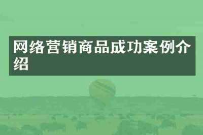 网络营销商品成功案例介绍