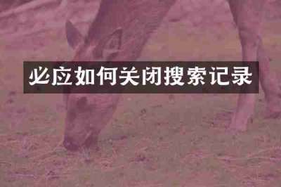 必应如何关闭搜索记录