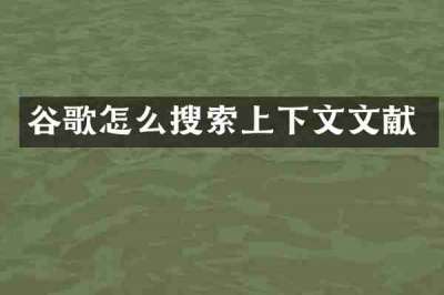 谷歌怎么搜索上下文文献