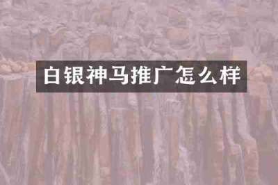 白银神马推广怎么样