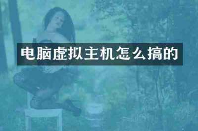 电脑虚拟主机怎么搞的