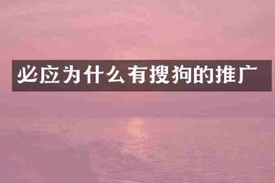 必应为什么有搜狗的推广