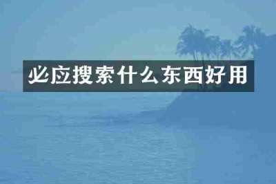 必应搜索什么东西好用