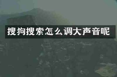 搜狗搜索怎么调大声音呢