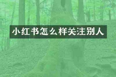 小红书怎么样关注别人