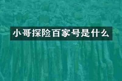 小哥探险百家号是什么