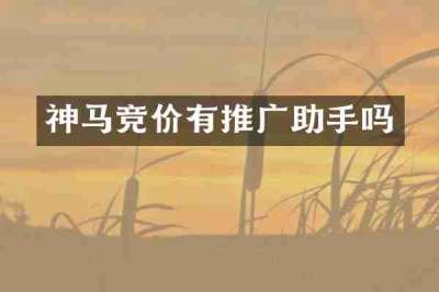 神马竞价有推广助手吗