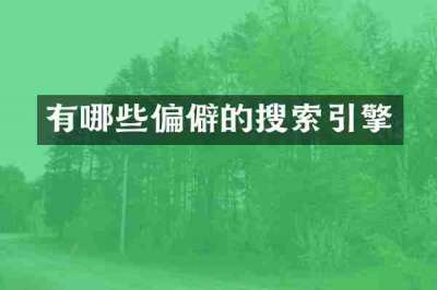 有哪些偏僻的搜索引擎