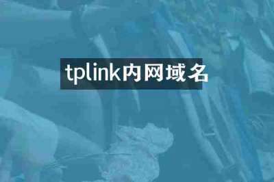 tplink内网域名