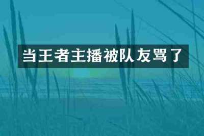 当王者主播被队友骂了