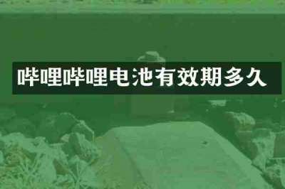 哔哩哔哩电池有效期多久