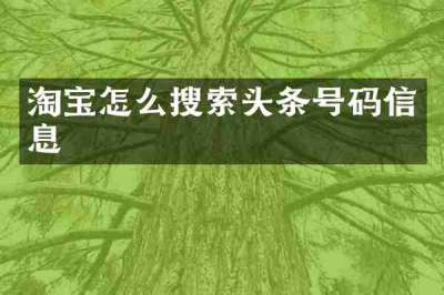 淘宝怎么搜索头条号码信息