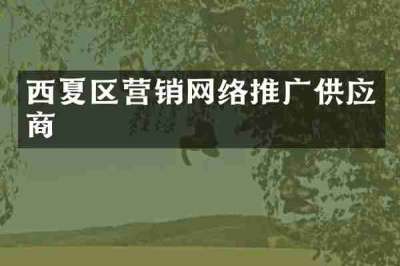 西夏区营销网络推广供应商