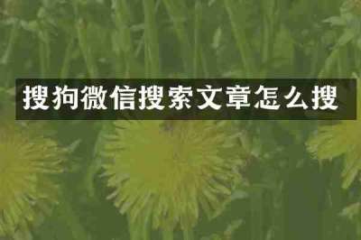 搜狗微信搜索文章怎么搜